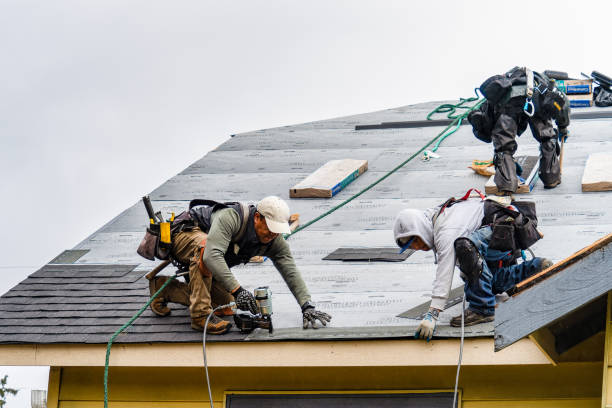 Professional Storm Damage Roof Repair technician working in High Hill, MO